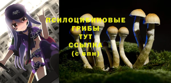 кристаллы Володарск