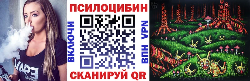 Галлюциногенные грибы Psilocybine cubensis  Купить где  Корсаков 